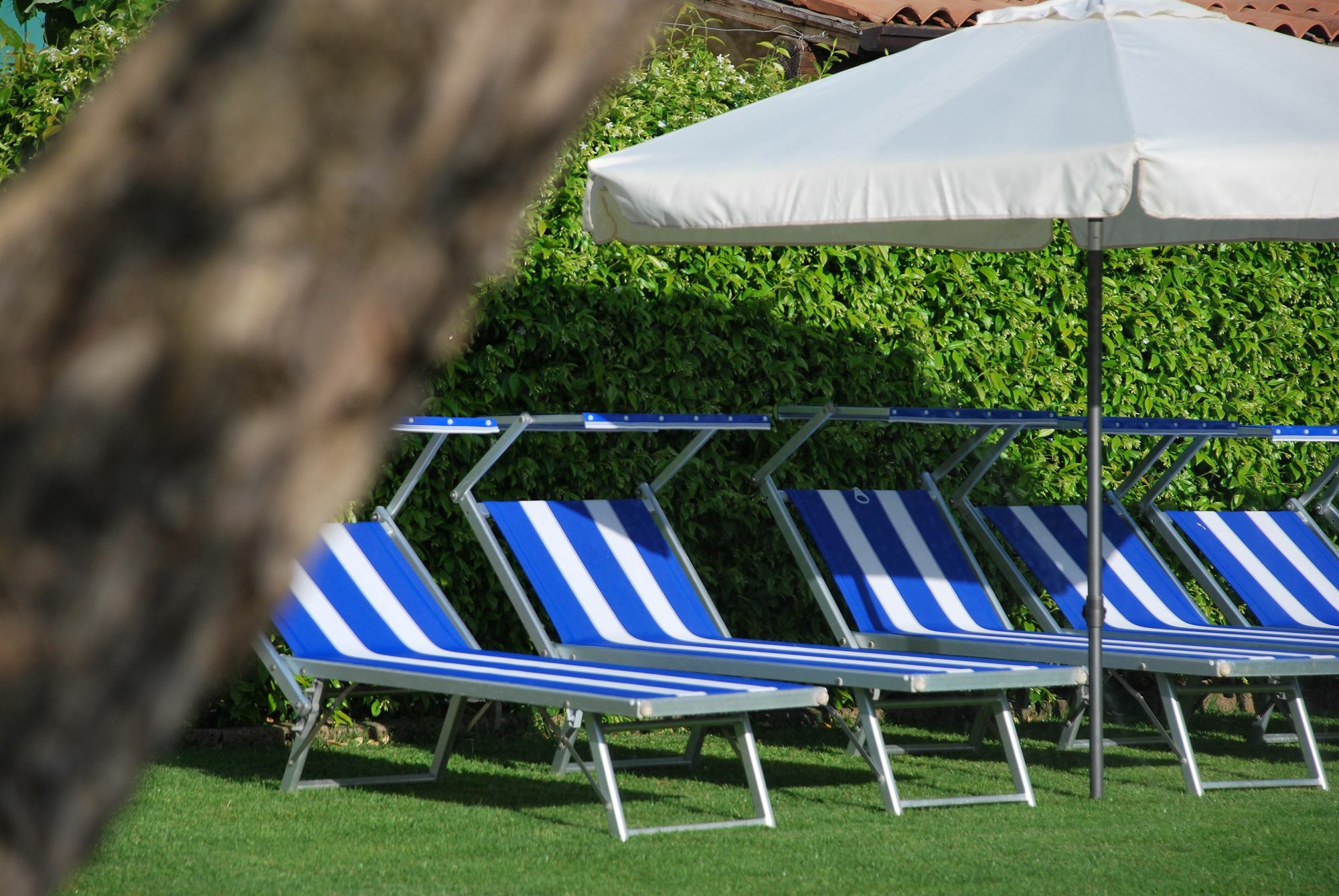 La Tinassara Bed & Breakfast Lazise Exterior photo